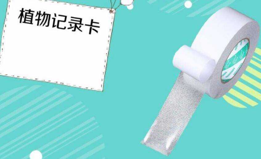 绿萝的记录卡怎么写 绿萝的记录卡怎么写