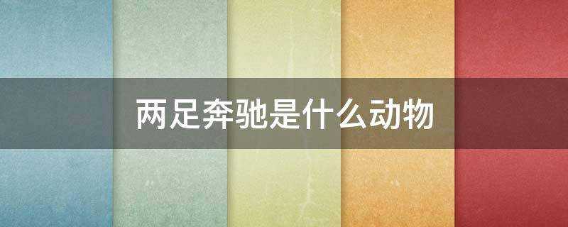 两足奔驰是什么动物 两足奔驰是什么动物